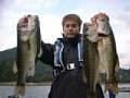 bass.i.jpg