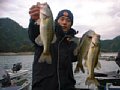 bass.r.jpg