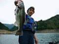 hama50cm-bass.jpg
