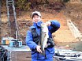 moritani62-1.jpg
