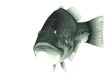 ���₢���킹